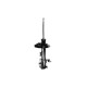 Amortiguador Macpherson - 331646L - Delantero Izquierdo